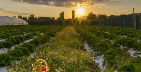 Головна